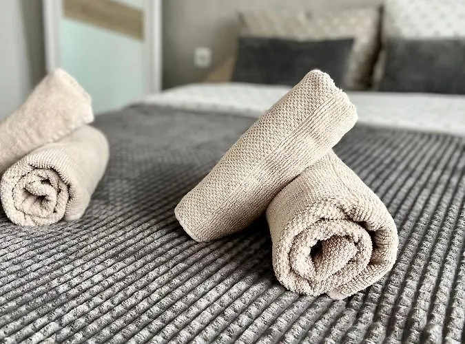 Апартамент Comfy & Stylish *